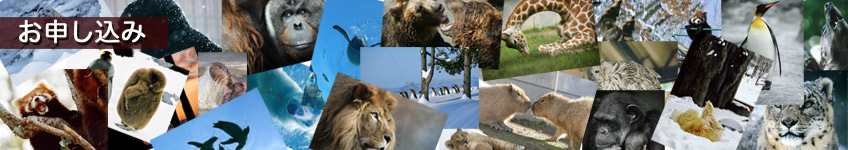 ���R�������@�O�b�Y�����\������